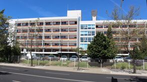 Idoso morre no primeiro caso de Febre Hemorrágica da Crimeia-Congo em Portugal: o que é e como se transmite?