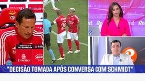 «Proteção do Benfica acabou por expor João Mário»