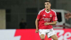 Benfica estuda novo empréstimo para Martim Neto