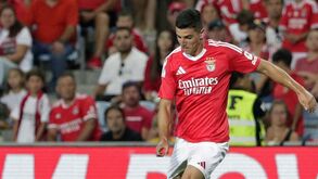 Martim Neto deve rodar