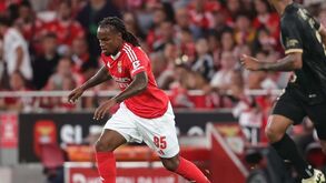 Bruno Aguiar: «Renato e Florentino são a melhor opção para meio-campo»
