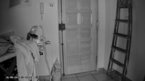 Portugueses partilham vídeos de várias zonas do país onde sismo foi sentido