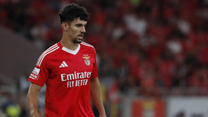 PSG fez contactos por Tomás Araújo