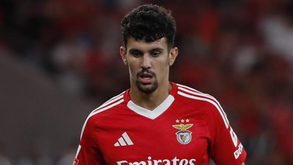 Tomás Araújo é o favorito do PSG