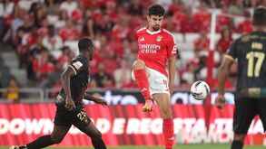Tomás Araújo não sai do Benfica