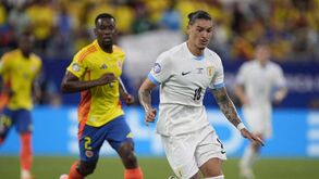 Federação de futebol do Uruguai vai recorrer de castigos a Darwin e Bentancur