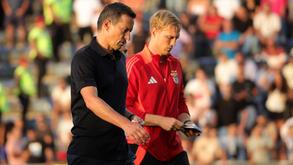 Schmidt despedido: Benfica já negoceia com o treinador alemão