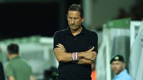 Sucessão no Benfica: os prós e contras de quem pode suceder a Schmidt