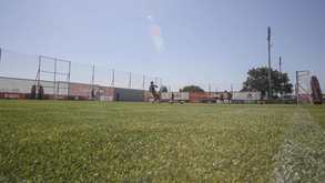 Benfica volta aos treinos na 6.ª feira com 6 jogadores