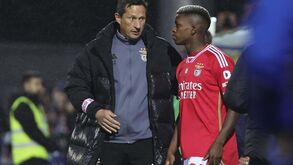 Florentino despede-se de Roger Schmidt: «Desejo-lhe sucesso»