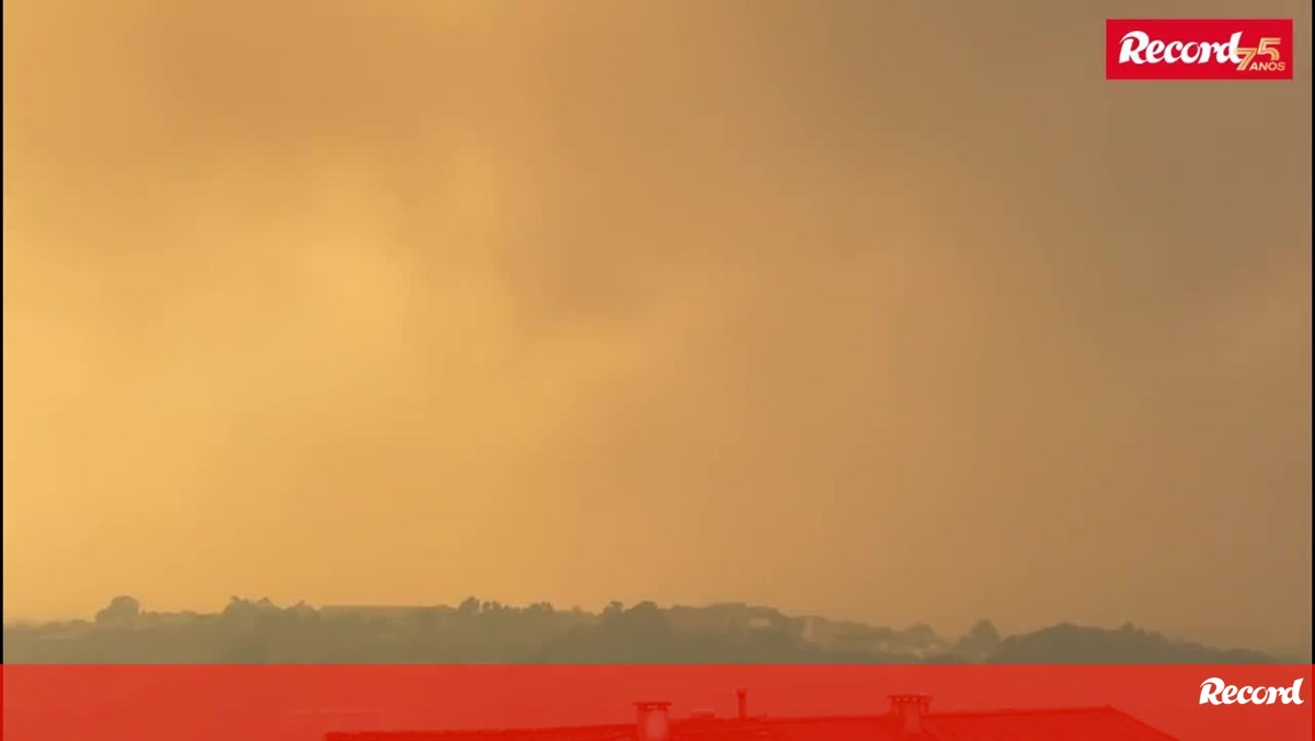 Fumo da vaga de incêndios que assola o norte sufoca a cidade do Porto e toda a região