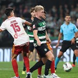 Sporting-AVS SAD, 3-0 (2.ª parte)