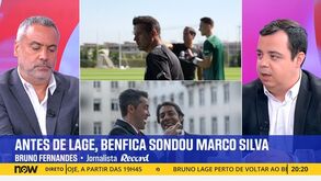 Estabilidade na Premier League, cláusula de rescisão e salário: os motivos que afastaram Marco Silva do Benfica