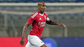 «Não insiste quando as coisas não estão favoráveis. Foi assim na Seleção e agora no Benfica»