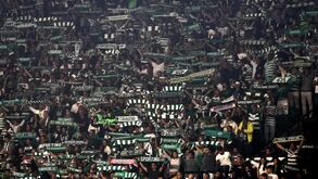 Onda Verde chega a Arouca: esgotados bilhetes para visita do Sporting em menos de 24 horas