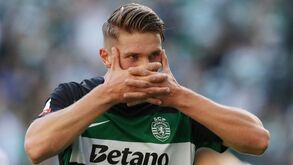 Só Haaland bate Gyökeres entre os jogadores das principais ligas europeias com mais golos por 90 minutos