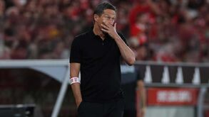 José Manuel Capristano: «Roger Schmidt tratou mal os sócios do Benfica»