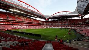 Benfica apresenta resultado negativo superior a 31 M€
