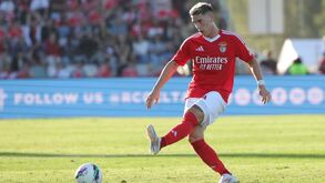 Quanto gastou o Benfica em Rollheiser e Prestianni: águias explicam todas as compras