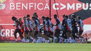 Número de jogadores registados pelo Benfica cai para quase metade em 5 épocas
