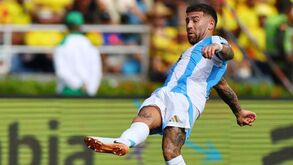 Os benfiquistas na pausa FIFA: quase metade completou dois jogos mas há quem venha com fome de bola