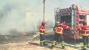 Incêndio na freguesia da Amora mobiliza mais de 300 operacionais