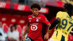 Dogues em chamas: análise ao Lille, adversário do Sporting