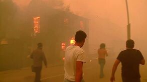 Casas a arder, autoestradas cortadas e bombeiros feridos: incêndio em Albergaria-a-Velha não dá tréguas