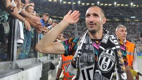 Giorgio Chiellini volta à Juventus como dirigente