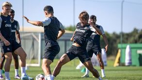 Amorim prepara mexidas: trio volta ao onze do Sporting