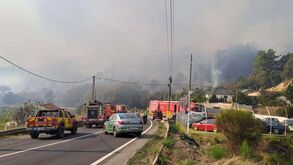 FC Porto solidário com a população afetada pelos incêndios