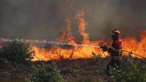 Mais de 5 mil operacionais e 21 meios aéreos envolvidos no combate às chamas