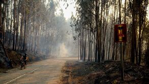 Ativado plano Distrital de Emergência e Proteção Civil do Porto devido aos incêndios