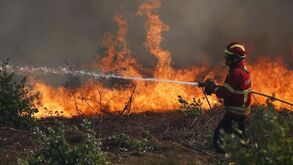 Três bombeiros morrem em Nelas: equipa seguia para um incêndio e sofreu um acidente