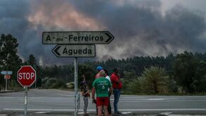 Governo declara situação de calamidade em todos os municípios afetados pelos incêndios