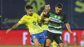 Leões acompanham o rei