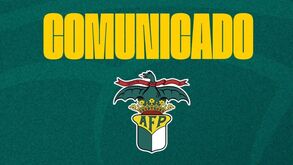 AF Porto adia jogos do fim de semana devido aos incêndios