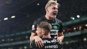 «Ainda é cedo para estarmos a comparar Harder a Gyökeres»