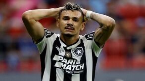 Botafogo volta a escorregar no Brasileirão e Palmeiras aproxima-se da liderança