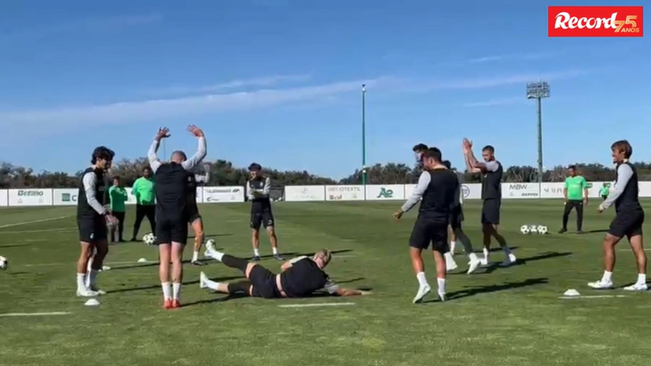 Leões viajam esta tarde para Portugal para a Holanda