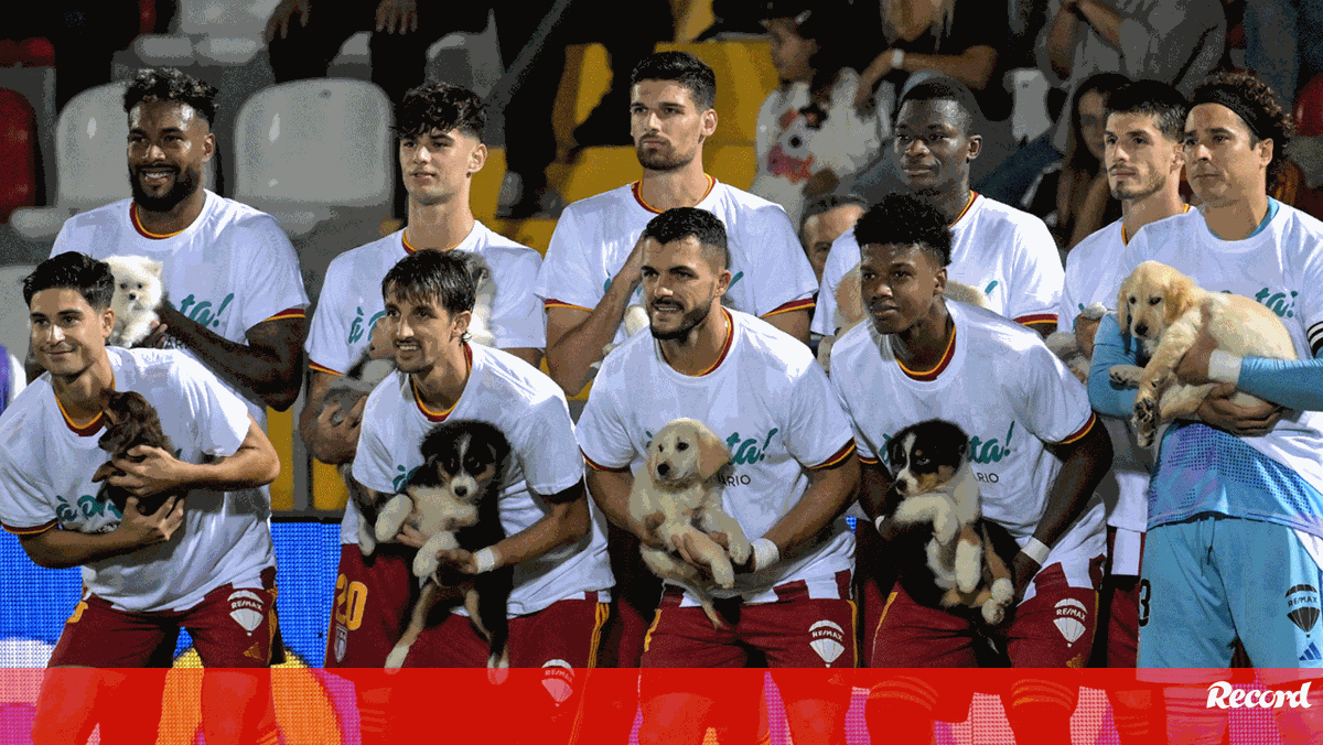 A polémica em torno dos cães que entraram em campo ao colo de jogadores do AVS SAD