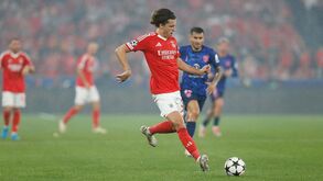 As notas dos jogadores do Benfica diante do At. Madrid: águias a provarem que já vale amassos