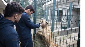 Jogadores do Arouca assinalam Dia Mundial do Animal