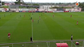 Liga BPI: os melhores momentos do Benfica-Maritimo, 2-0