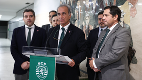 João Palma após aprovação 