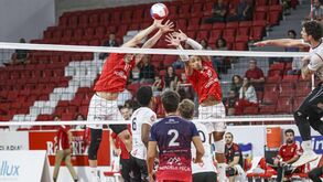 Benfica-VC Viana, 3-0: águia voa alto