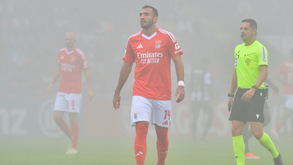 Nacional-Benfica: Uma luz de Pavlidis no meio da escuridão