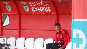 Bruno Lage com sete disponíveis no Benfica: internacionais e lesionados deixam Seixal quase vazio