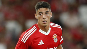 Tiago Gouveia só em dezembro