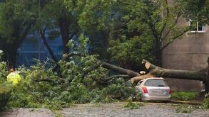 Mau tempo: Mais de 1.300 ocorrências provocadas pelo vento forte até às 9 horas